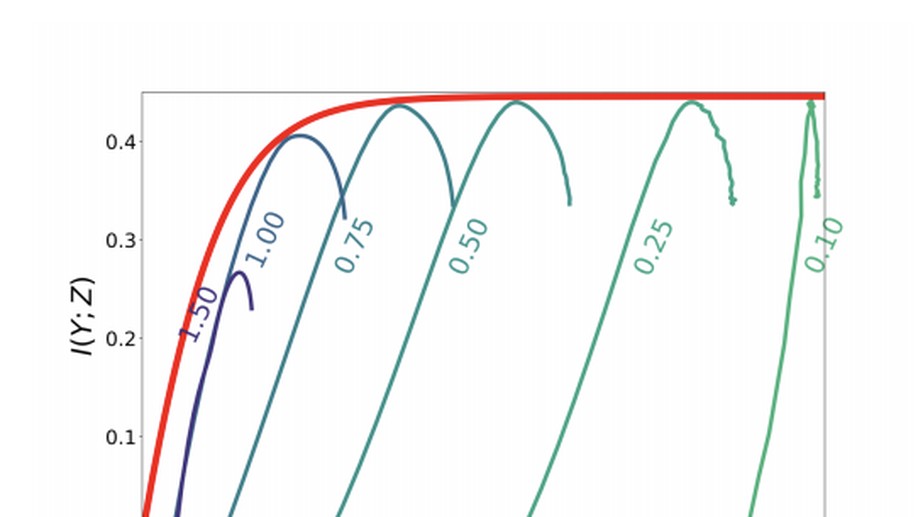 Information in Infinite Ensembles of Infinitely-Wide Neural Networks